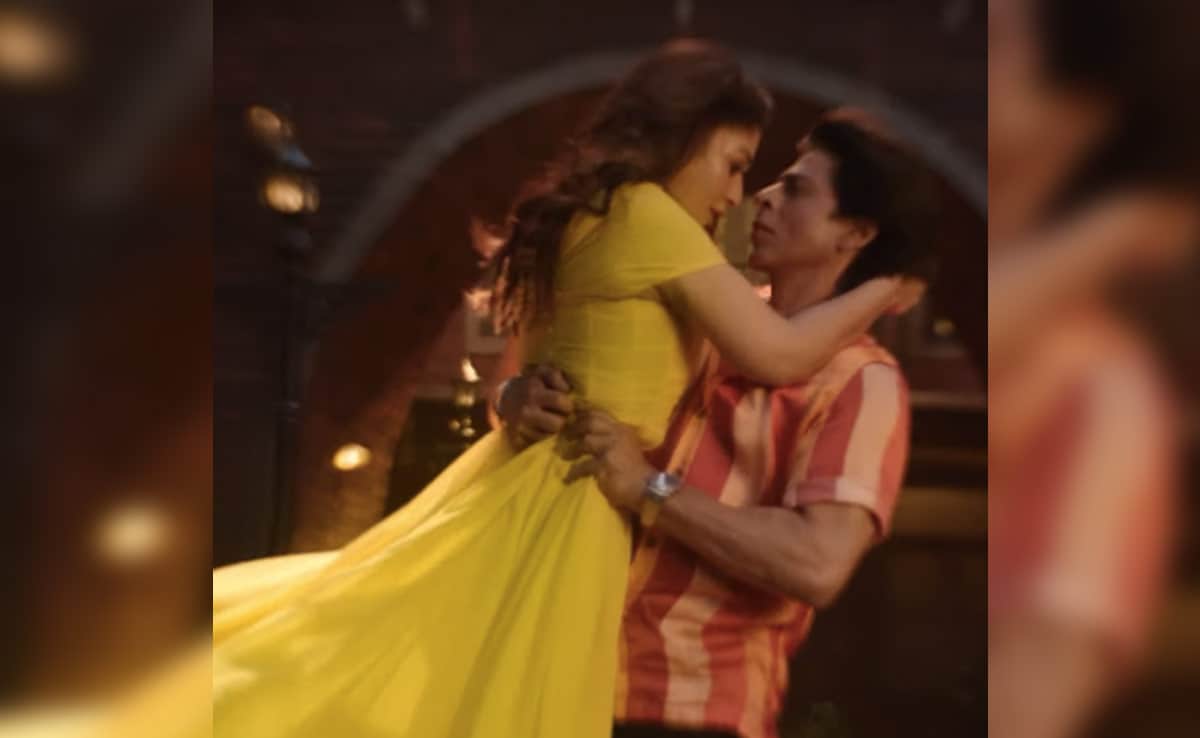 Fans Dance To Jawan Song In New York. Shah Rukh Khan Says, “Thank You For Bringing Chaleya To Brooklyn Bridge”